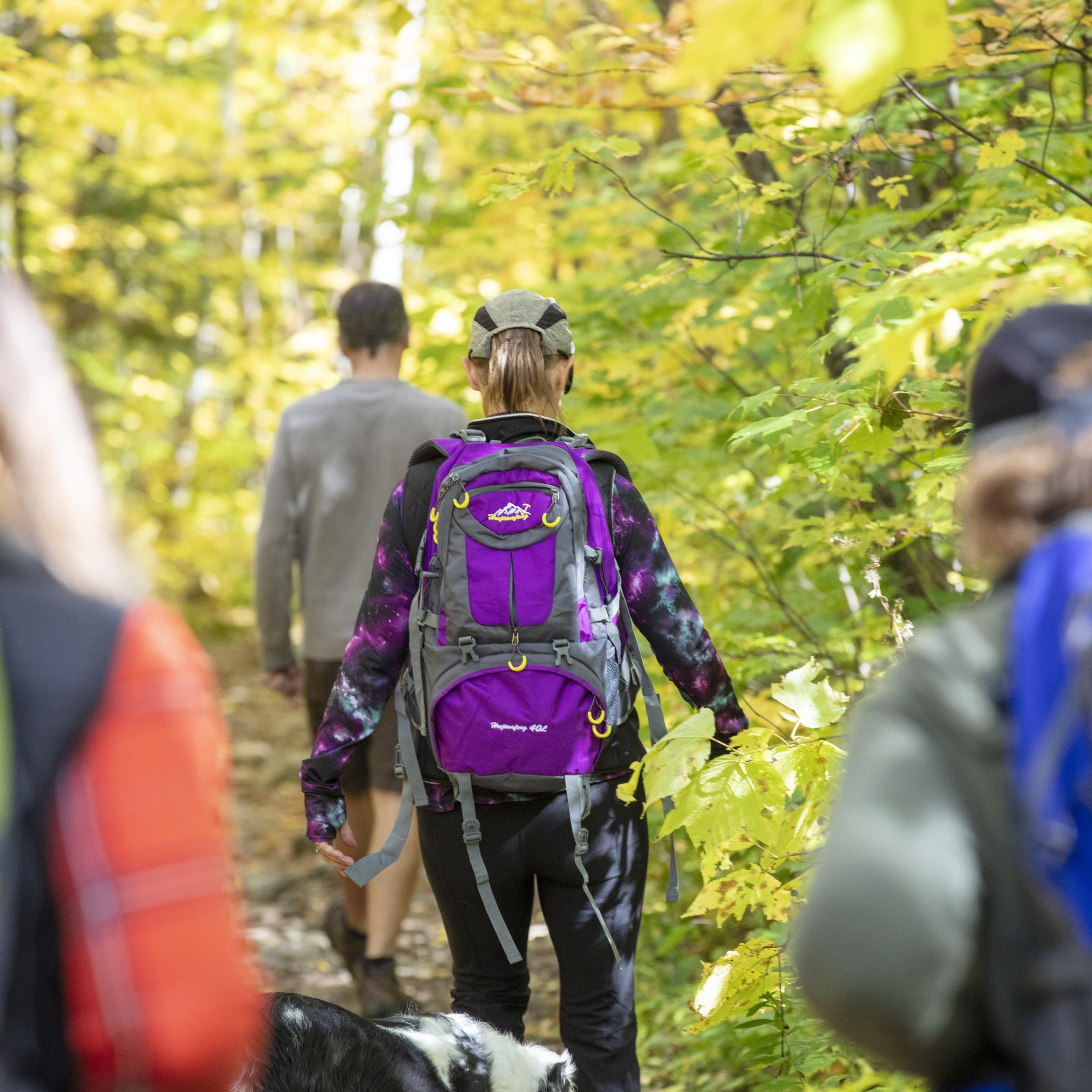 Adirondack Hiking Challenges Try These Hikes in 2024!